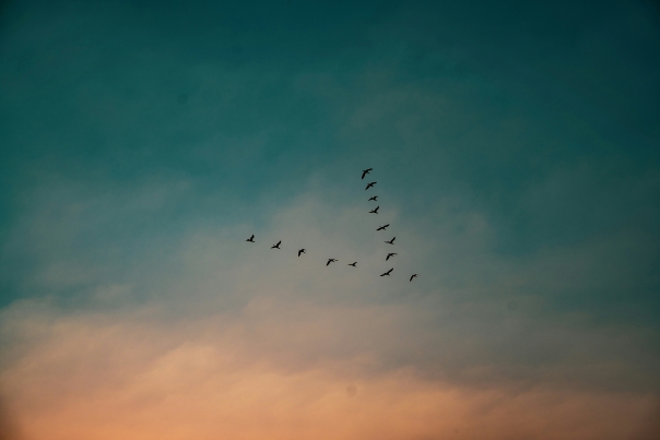 Airspace & Flight Procedure Design